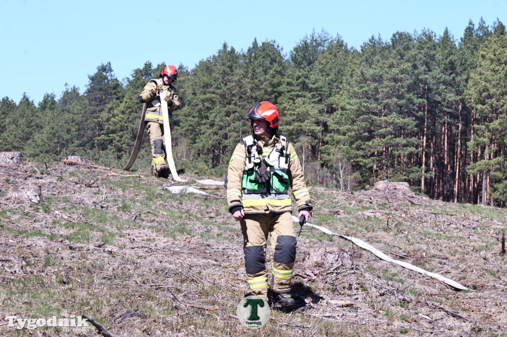 Zakonspirowane ćwiczenia. Strażacy i leśnicy do pożaru