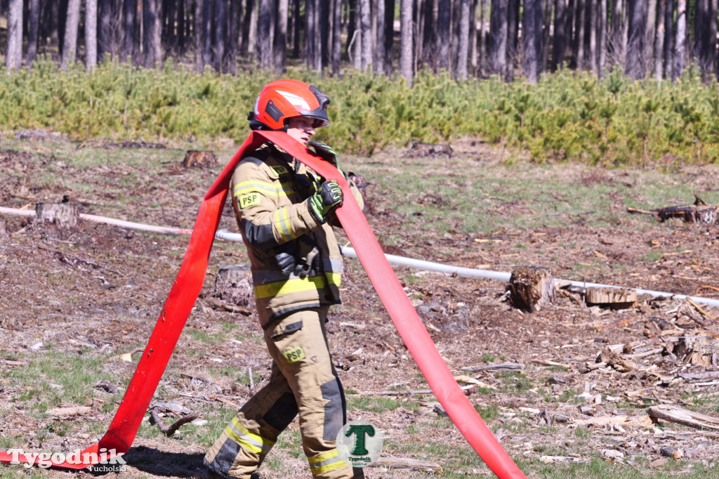 Zakonspirowane ćwiczenia. Strażacy i leśnicy do pożaru