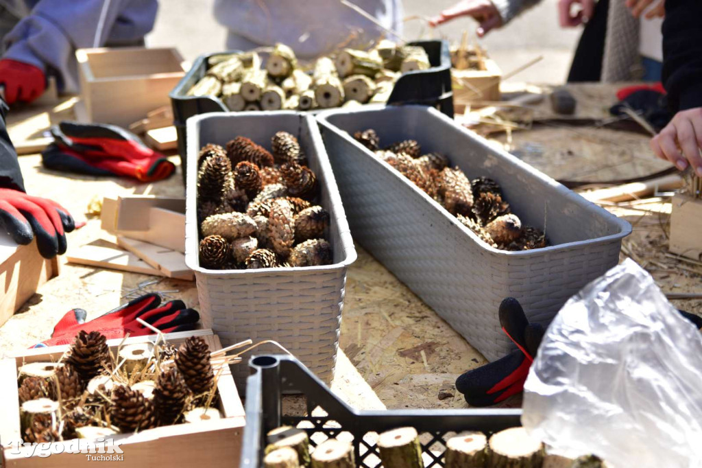 Warsztaty z okazji Dnia Ziemi w WSZŚ w Tucholi