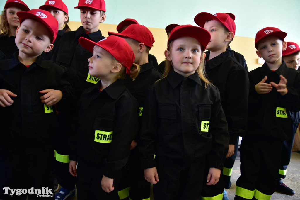 Ślubowanie DDP OSP Raciąż