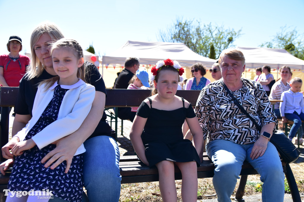 Piknik pod biało-czerwoną flagą w Śliwicach z dużym zainteresowaniem i świetną pogodą