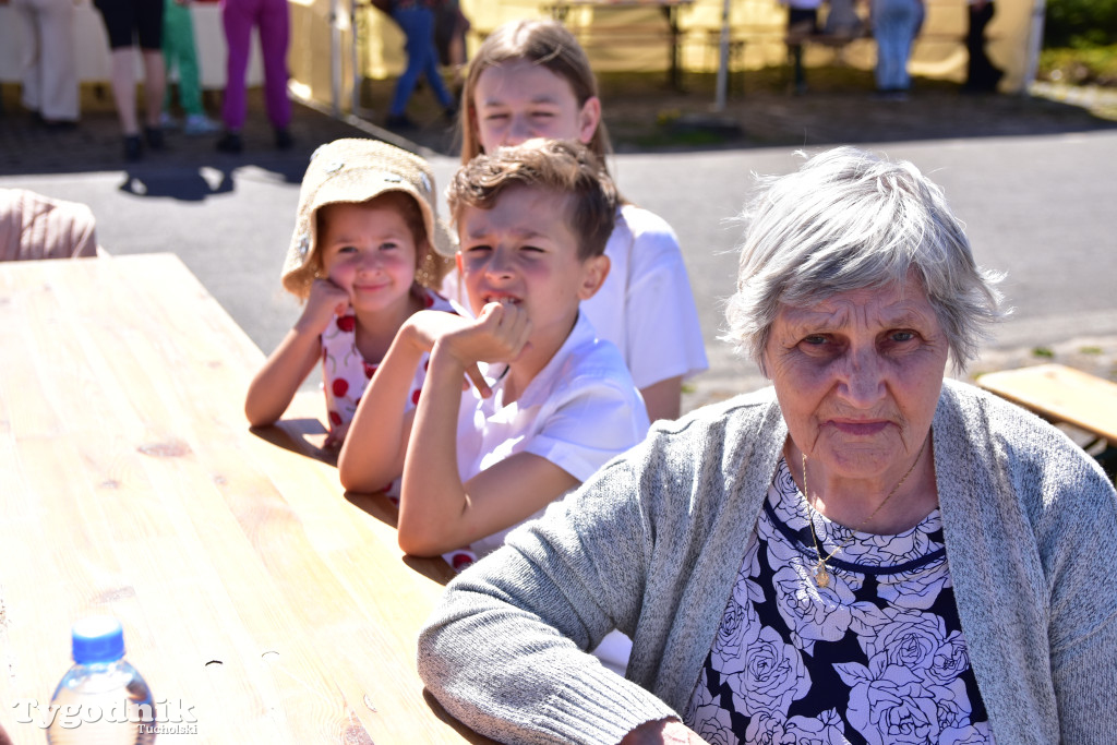 Piknik pod biało-czerwoną flagą w Śliwicach z dużym zainteresowaniem i świetną pogodą