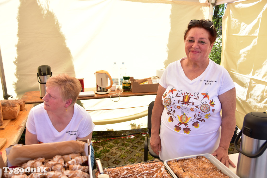 Piknik pod biało-czerwoną flagą w Śliwicach z dużym zainteresowaniem i świetną pogodą