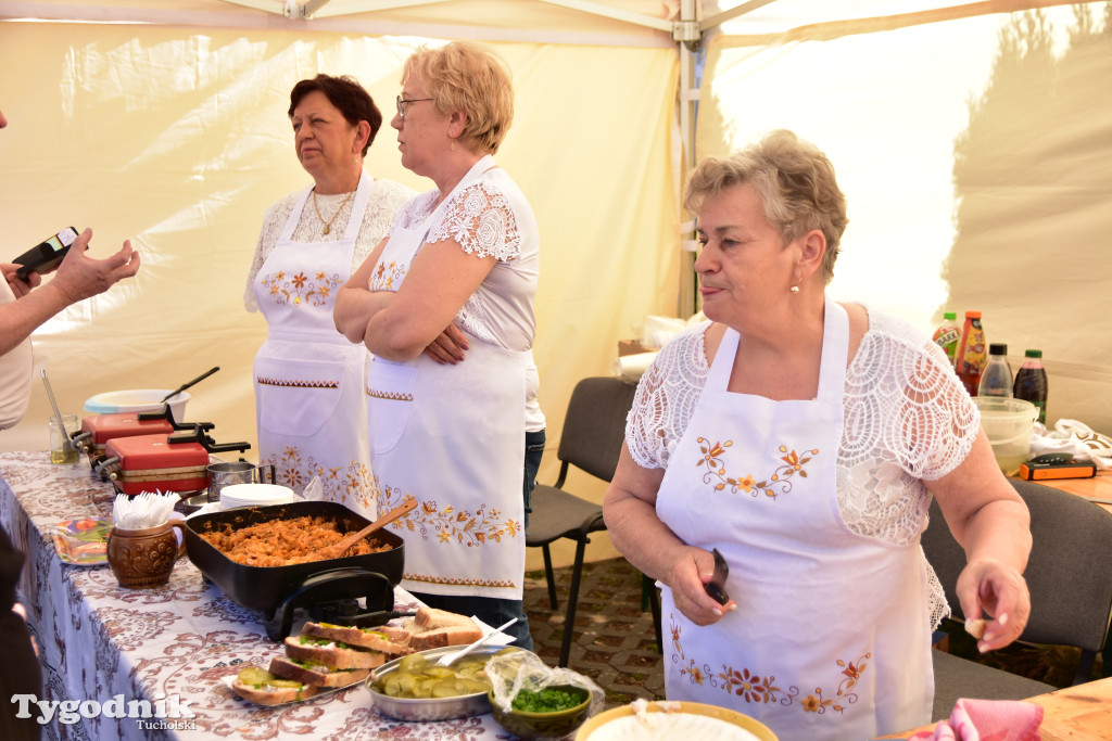 Piknik pod biało-czerwoną flagą w Śliwicach z dużym zainteresowaniem i świetną pogodą