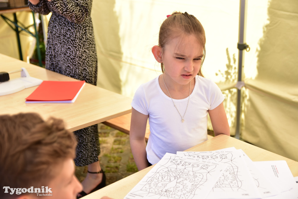 Piknik pod biało-czerwoną flagą w Śliwicach z dużym zainteresowaniem i świetną pogodą