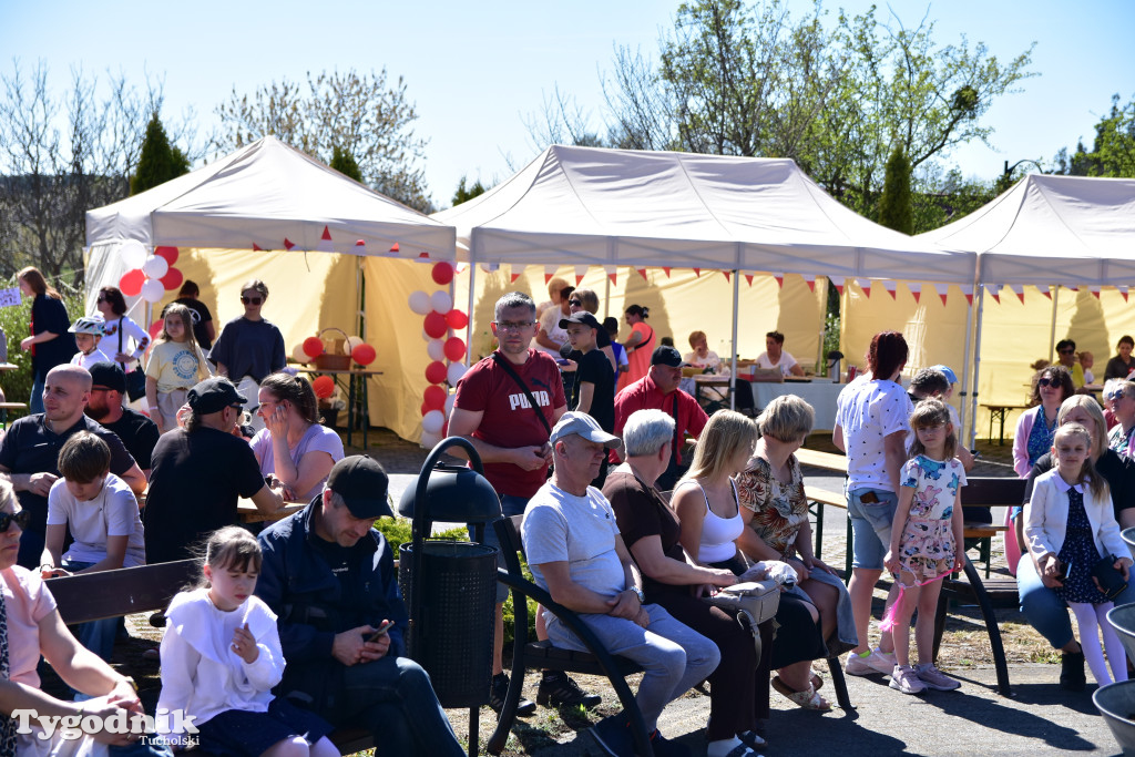 Piknik pod biało-czerwoną flagą w Śliwicach z dużym zainteresowaniem i świetną pogodą