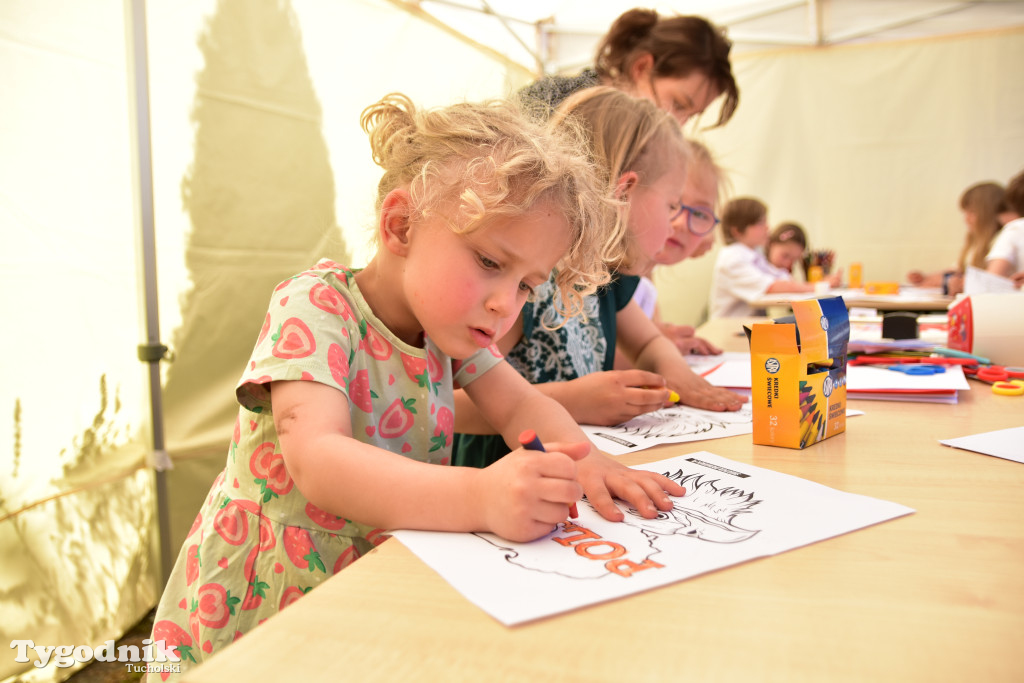 Piknik pod biało-czerwoną flagą w Śliwicach z dużym zainteresowaniem i świetną pogodą