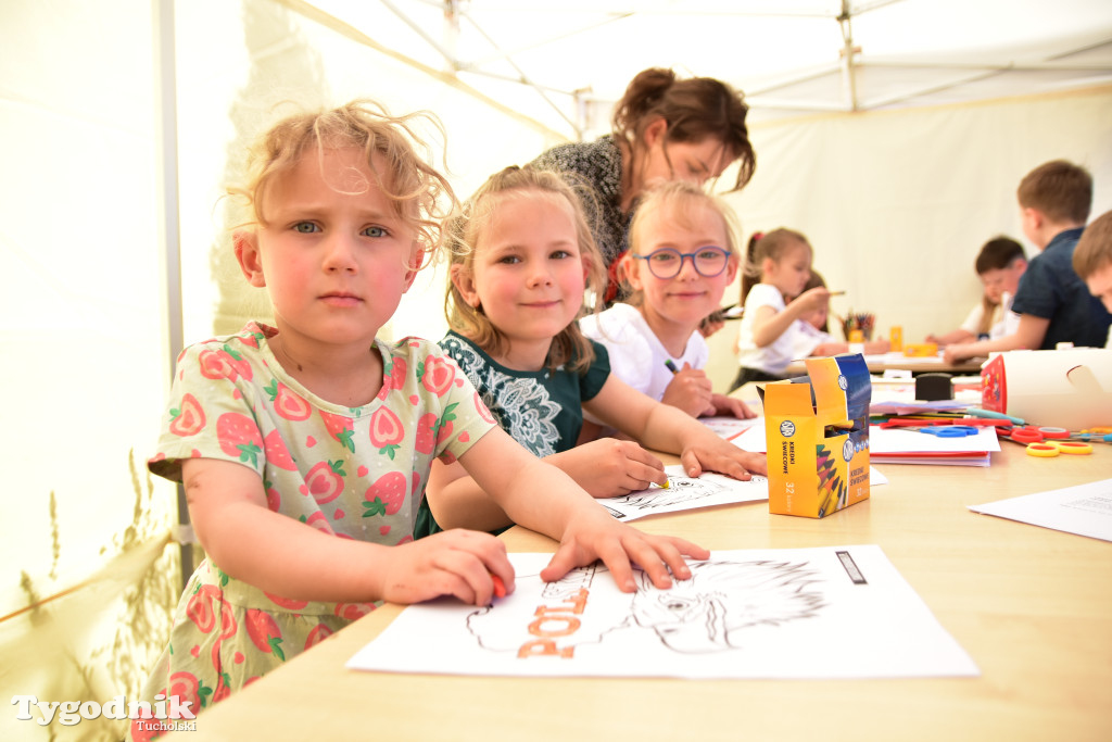 Piknik pod biało-czerwoną flagą w Śliwicach z dużym zainteresowaniem i świetną pogodą