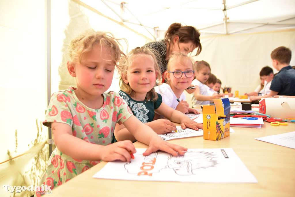 Piknik pod biało-czerwoną flagą w Śliwicach z dużym zainteresowaniem i świetną pogodą