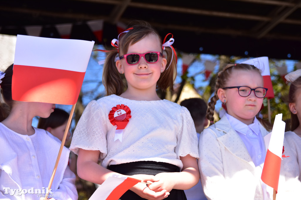 Piknik pod biało-czerwoną flagą w Śliwicach z dużym zainteresowaniem i świetną pogodą