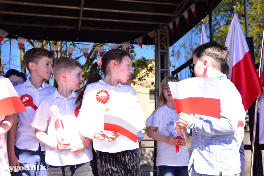 Piknik pod biało-czerwoną flagą w Śliwicach z dużym zainteresowaniem i świetną pogodą
