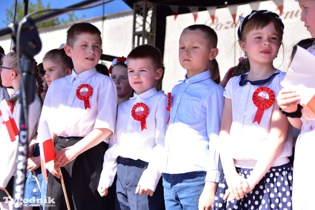 Piknik pod biało-czerwoną flagą w Śliwicach z dużym zainteresowaniem i świetną pogodą
