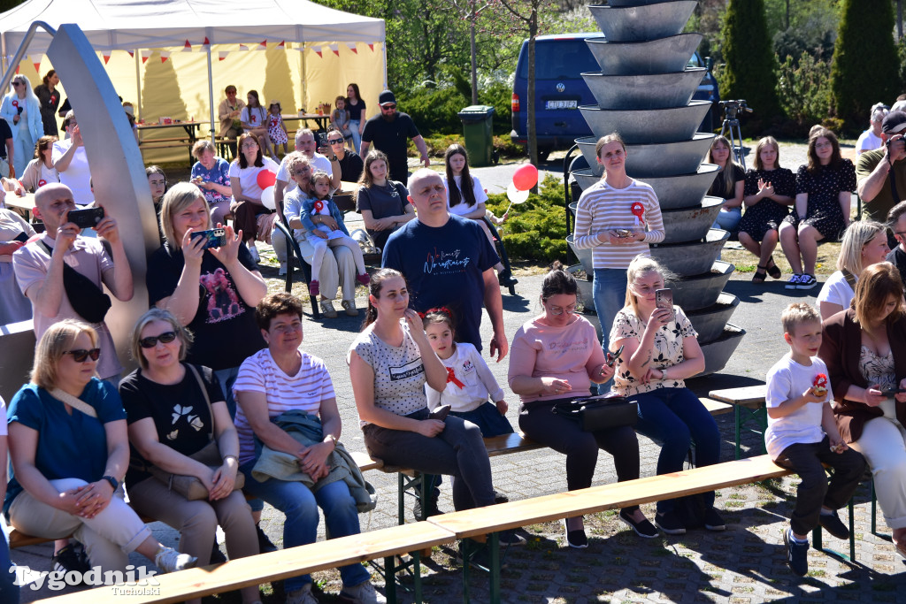 Piknik pod biało-czerwoną flagą w Śliwicach z dużym zainteresowaniem i świetną pogodą