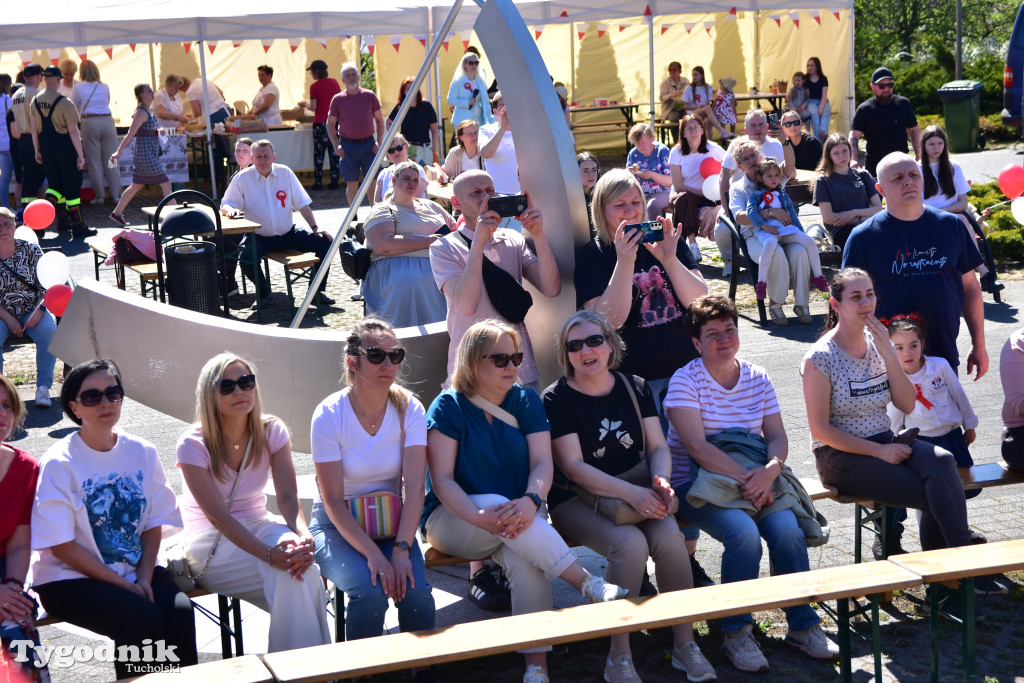 Piknik pod biało-czerwoną flagą w Śliwicach z dużym zainteresowaniem i świetną pogodą