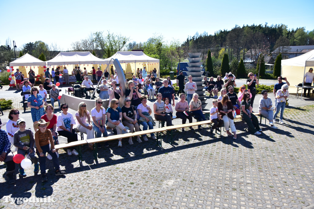 Piknik pod biało-czerwoną flagą w Śliwicach z dużym zainteresowaniem i świetną pogodą