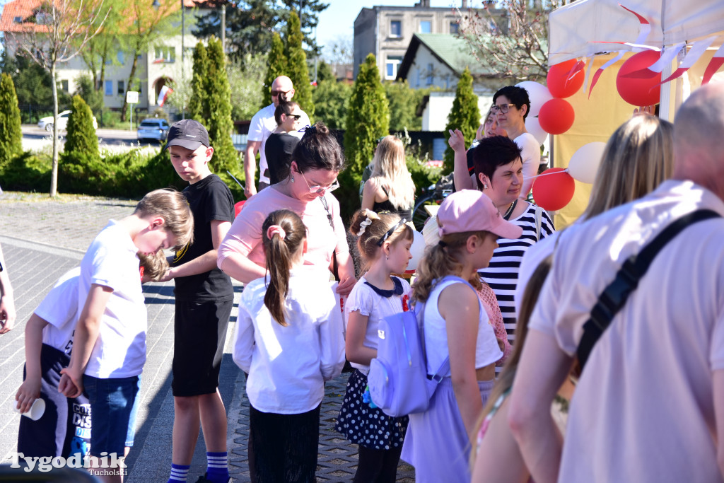 Piknik pod biało-czerwoną flagą w Śliwicach z dużym zainteresowaniem i świetną pogodą