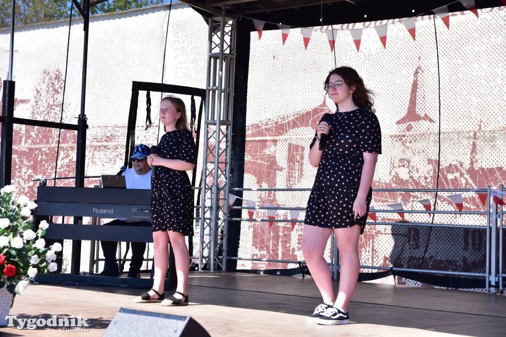 Piknik pod biało-czerwoną flagą w Śliwicach z dużym zainteresowaniem i świetną pogodą