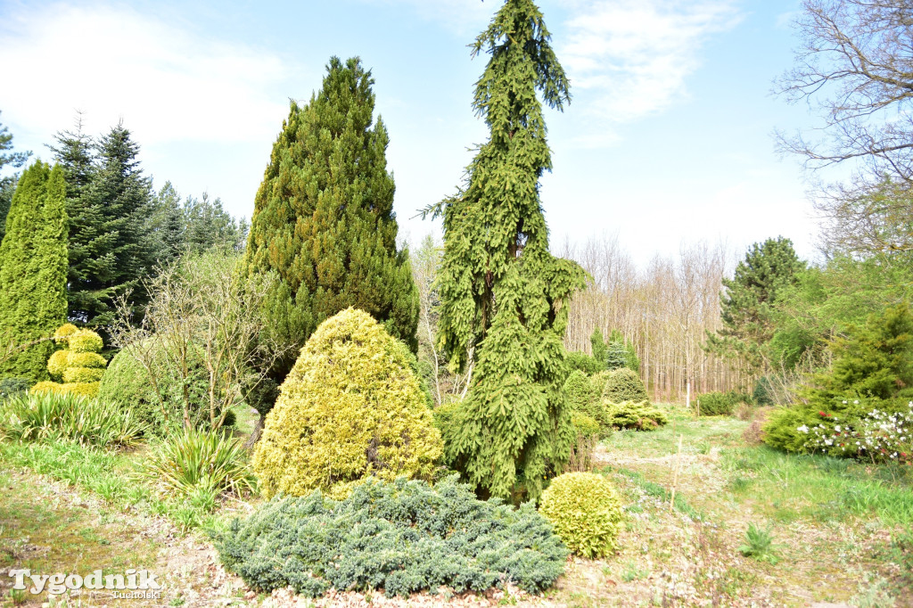 Arboretum Janiny Grzmiel z Bladowa