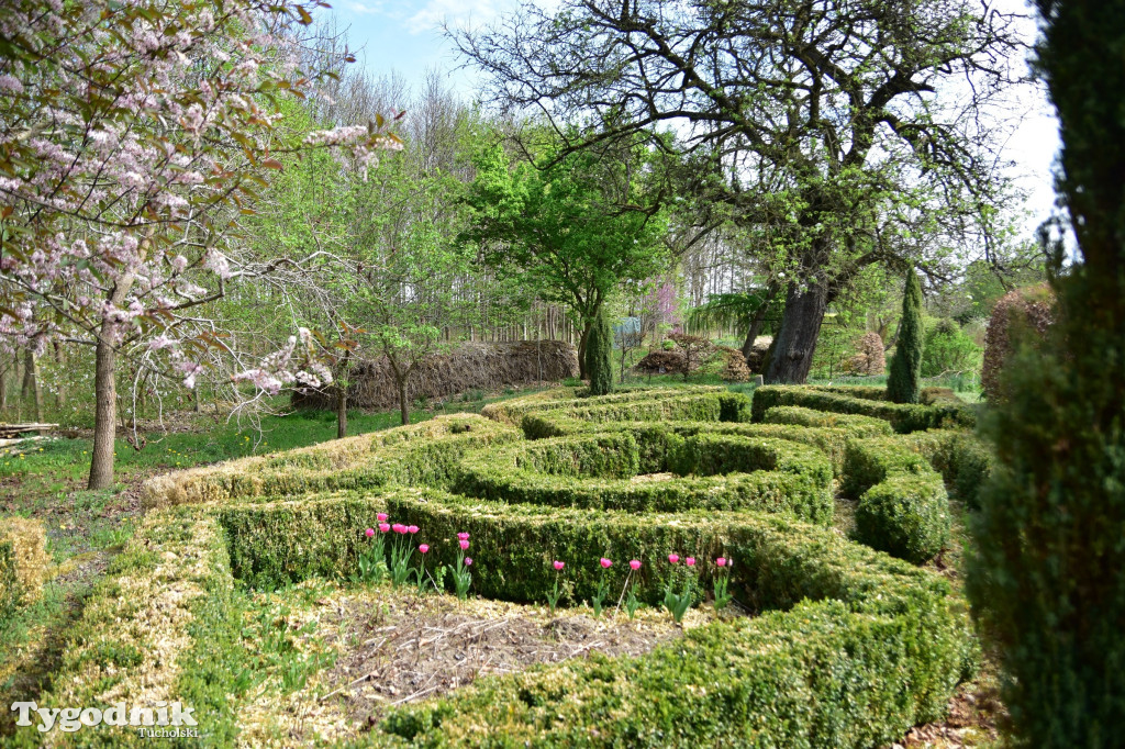 Arboretum Janiny Grzmiel z Bladowa