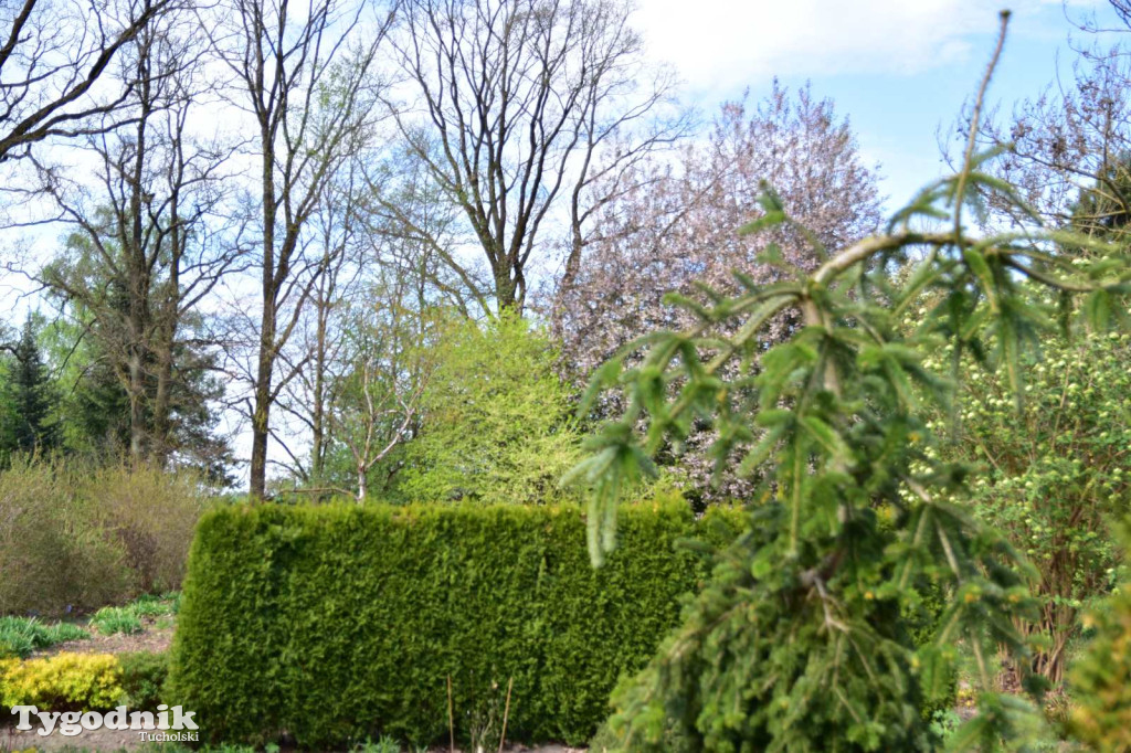 Arboretum Janiny Grzmiel z Bladowa