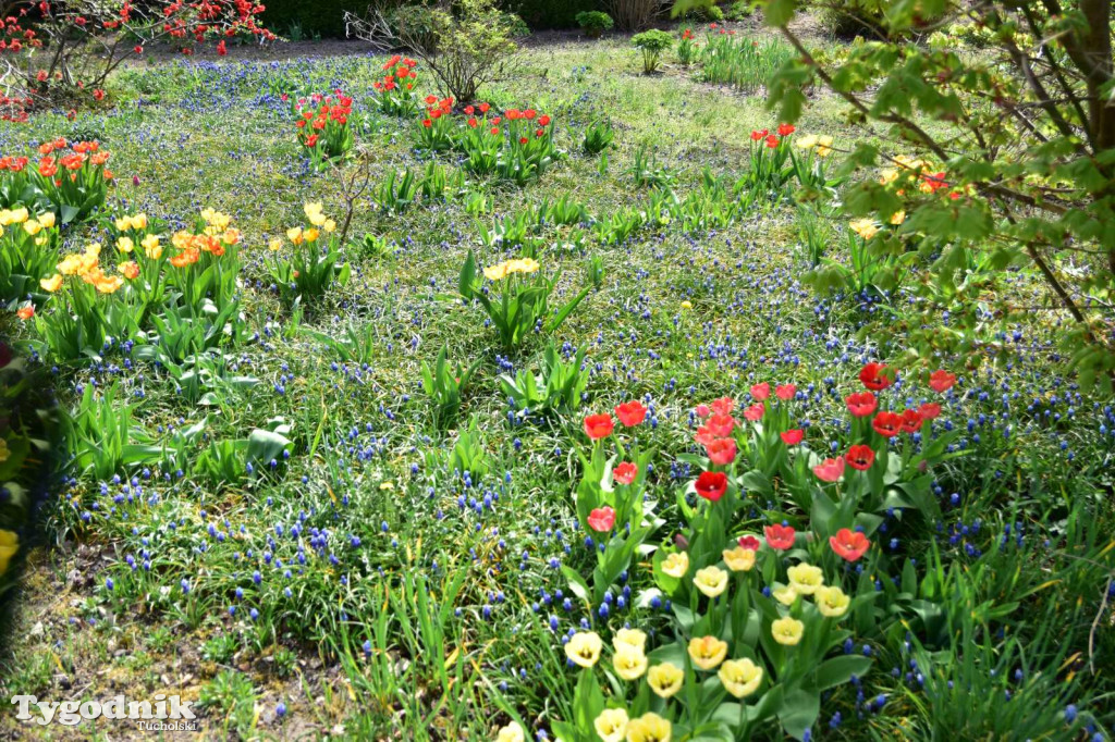 Arboretum Janiny Grzmiel z Bladowa