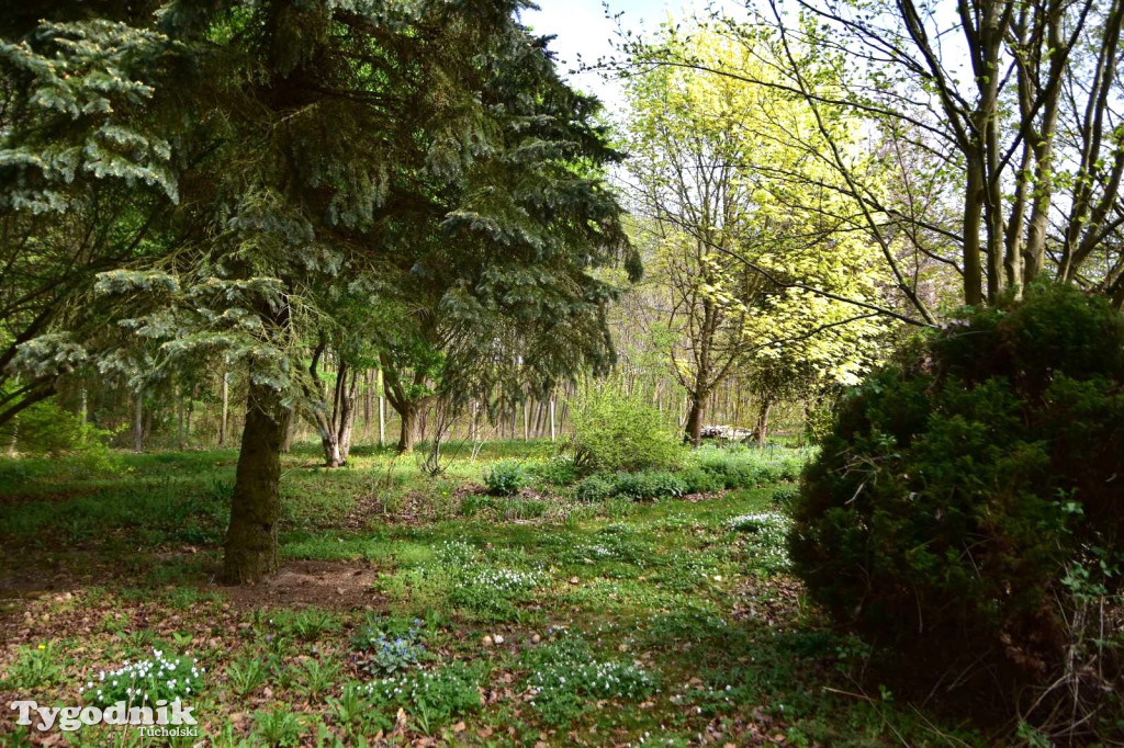 Arboretum Janiny Grzmiel z Bladowa