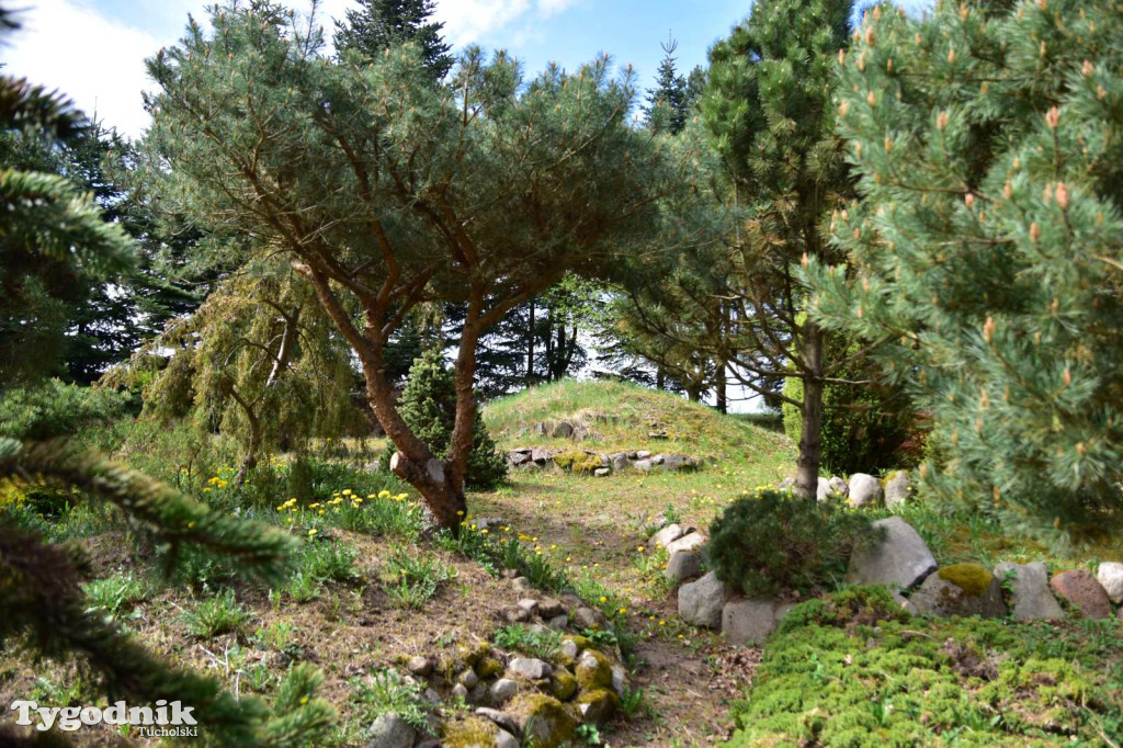 Arboretum Janiny Grzmiel z Bladowa