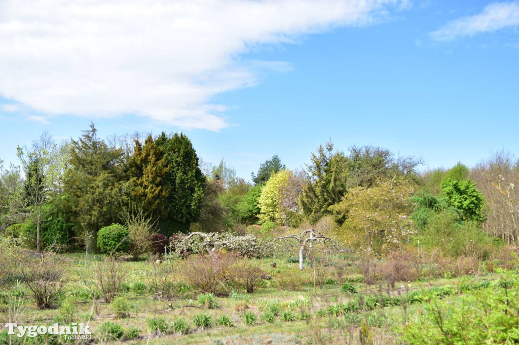 Arboretum Janiny Grzmiel z Bladowa