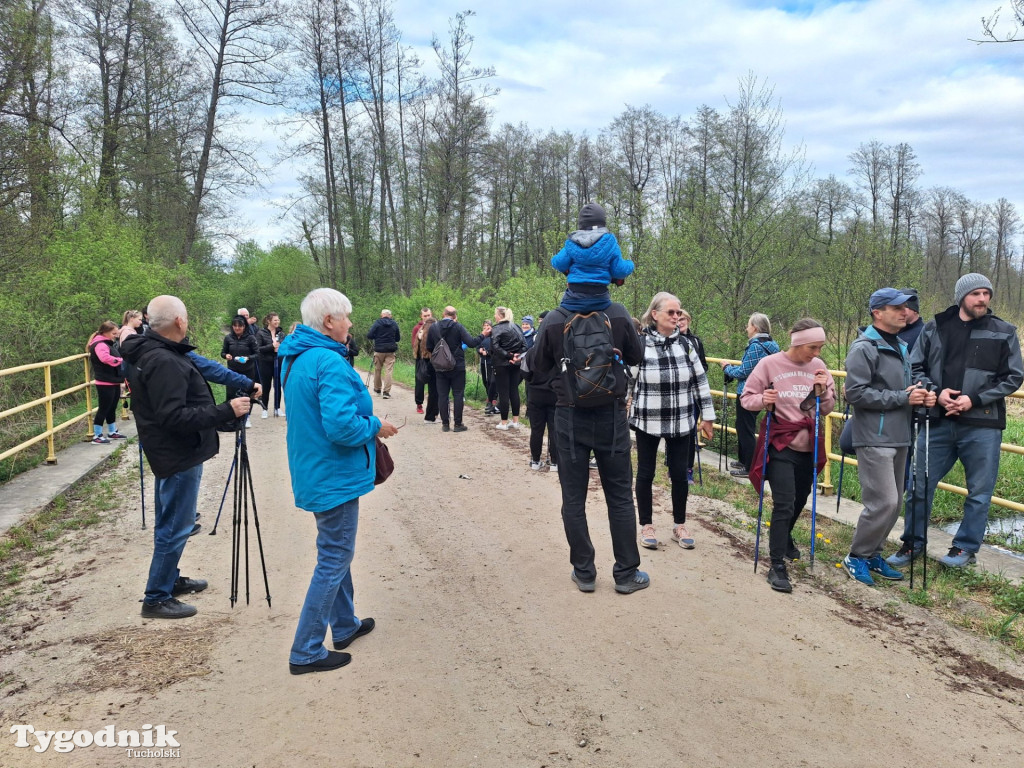 Sapcer nordic walking z historią regionu
