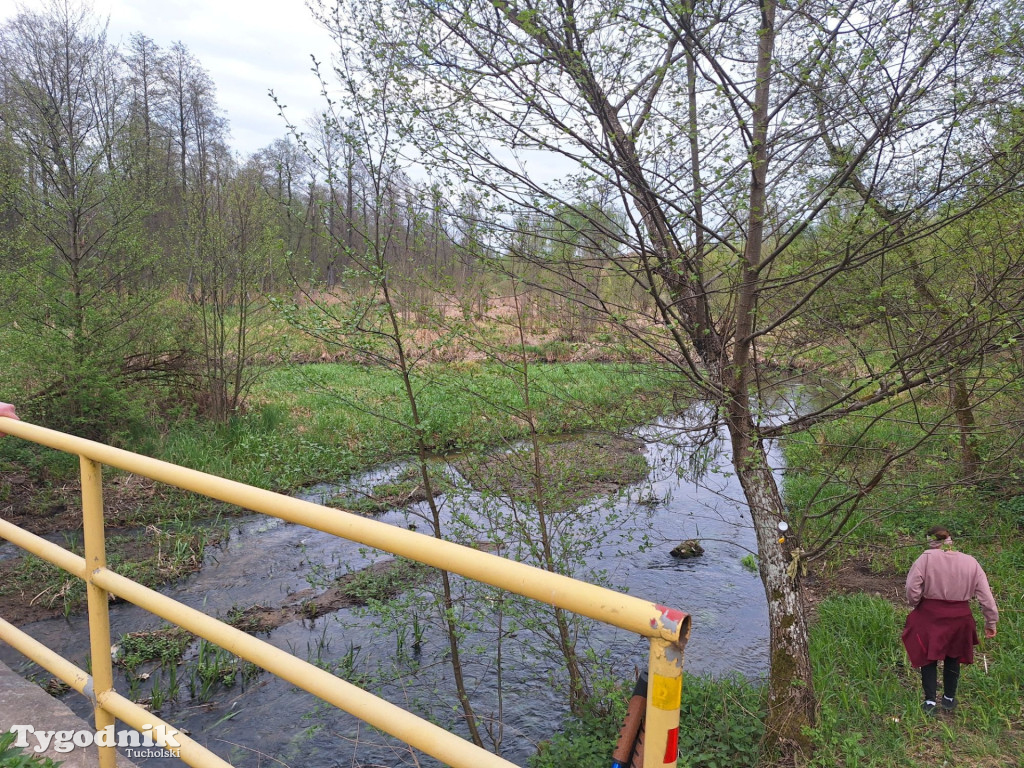 Sapcer nordic walking z historią regionu