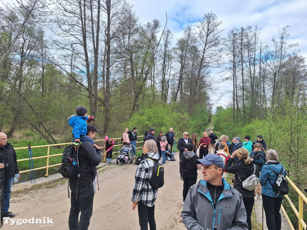 Sapcer nordic walking z historią regionu