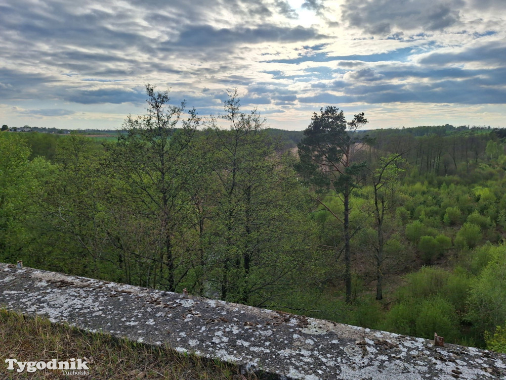 Sapcer nordic walking z historią regionu
