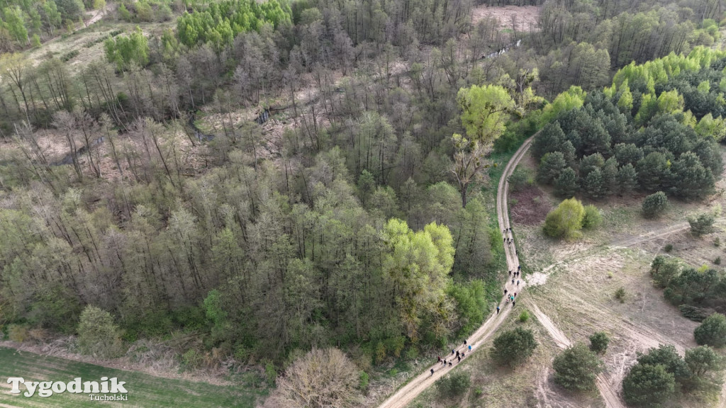 Sapcer nordic walking z historią regionu