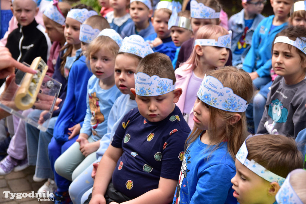 Tuchoski Park Krajobrazowy: Happening na cześć pszczół i niezapominajek