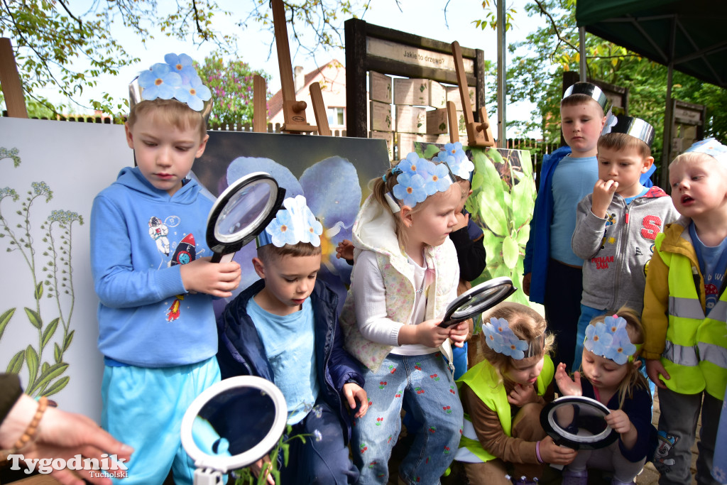 Tuchoski Park Krajobrazowy: Happening na cześć pszczół i niezapominajek
