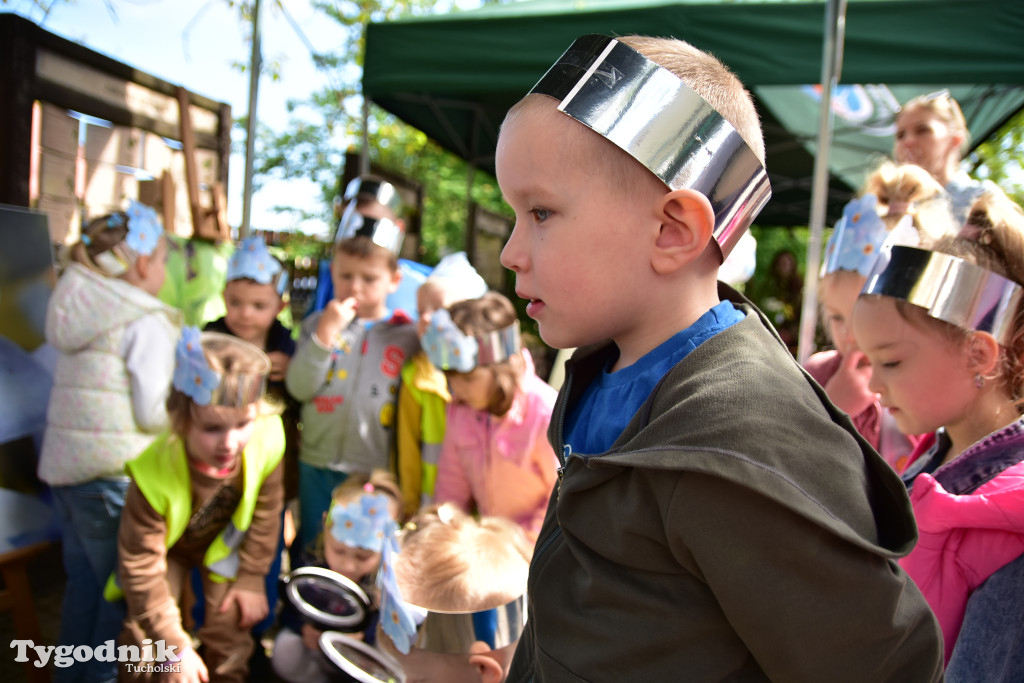 Tuchoski Park Krajobrazowy: Happening na cześć pszczół i niezapominajek