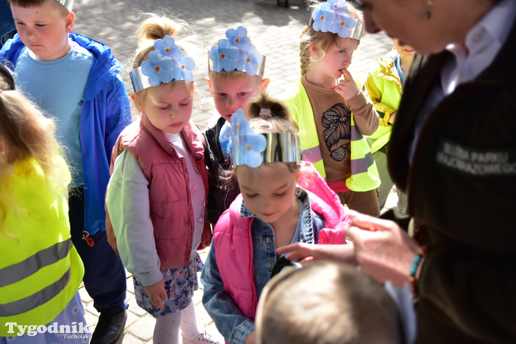 Tuchoski Park Krajobrazowy: Happening na cześć pszczół i niezapominajek