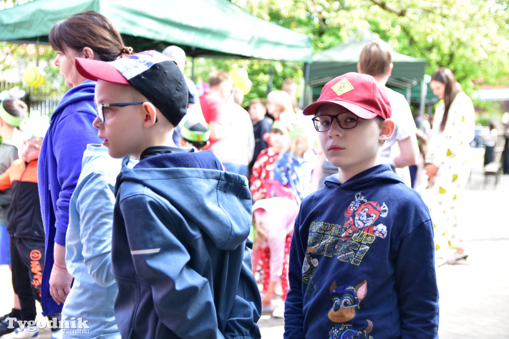 Tuchoski Park Krajobrazowy: Happening na cześć pszczół i niezapominajek