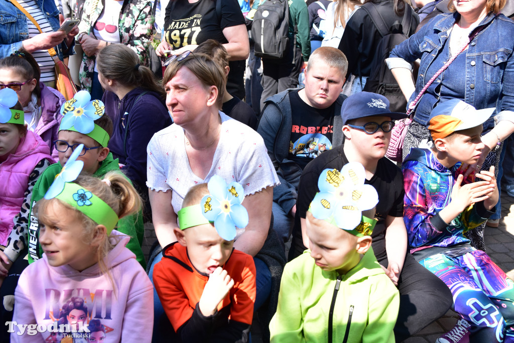 Tuchoski Park Krajobrazowy: Happening na cześć pszczół i niezapominajek
