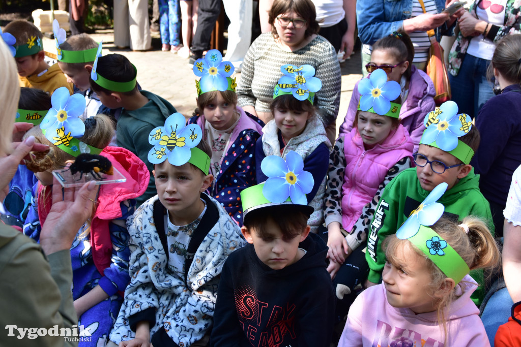 Tuchoski Park Krajobrazowy: Happening na cześć pszczół i niezapominajek