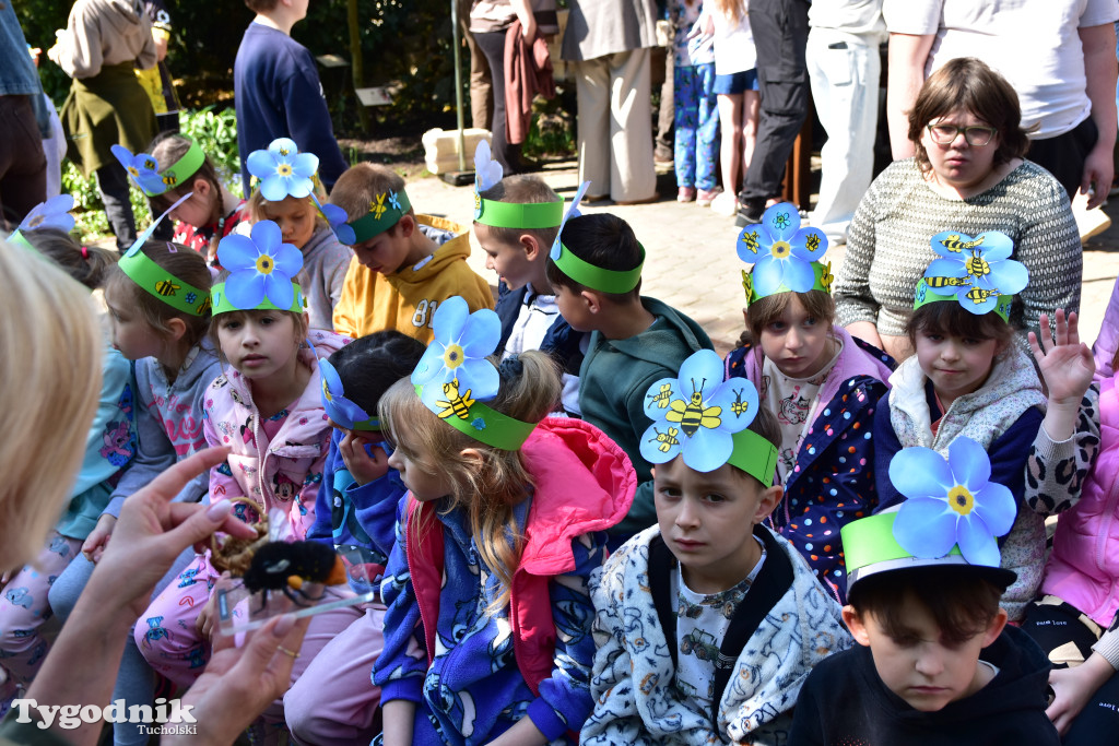 Tuchoski Park Krajobrazowy: Happening na cześć pszczół i niezapominajek