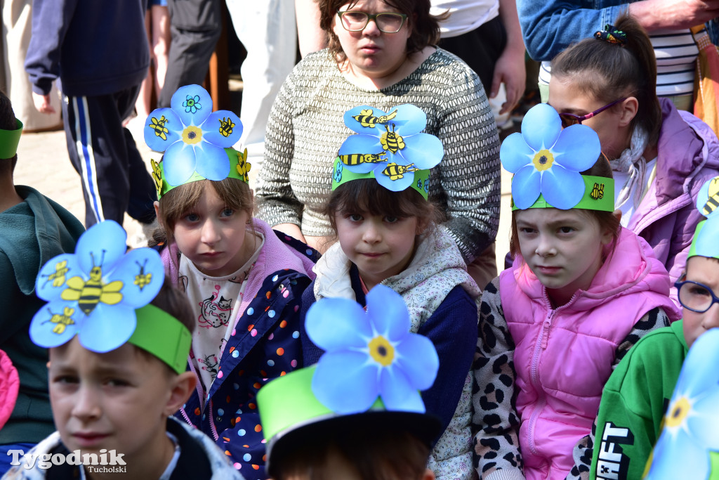 Tuchoski Park Krajobrazowy: Happening na cześć pszczół i niezapominajek