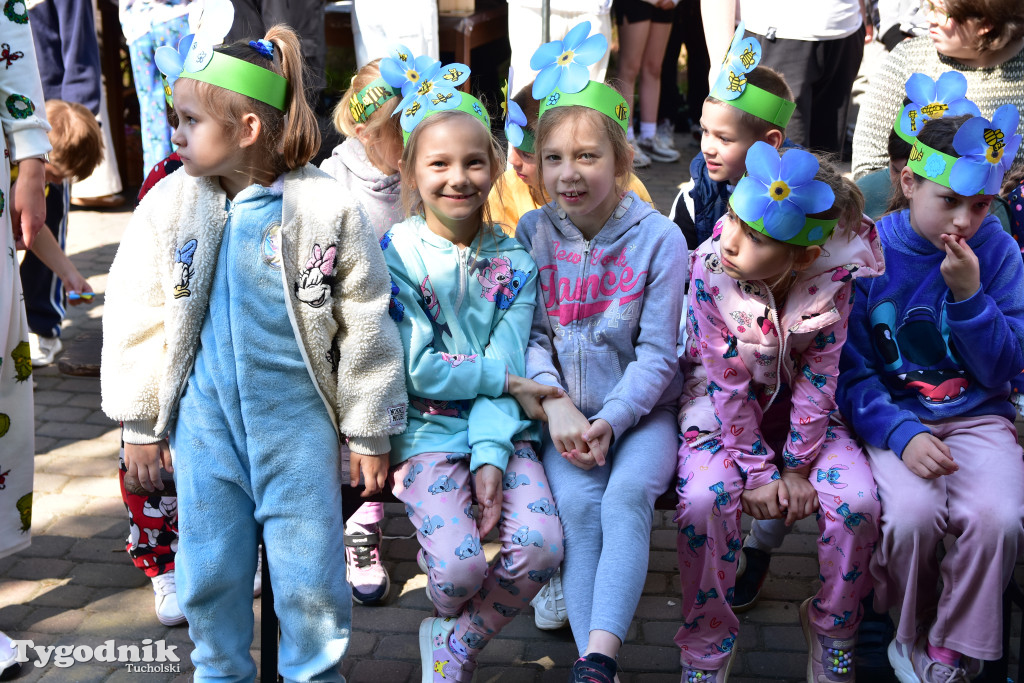 Tuchoski Park Krajobrazowy: Happening na cześć pszczół i niezapominajek
