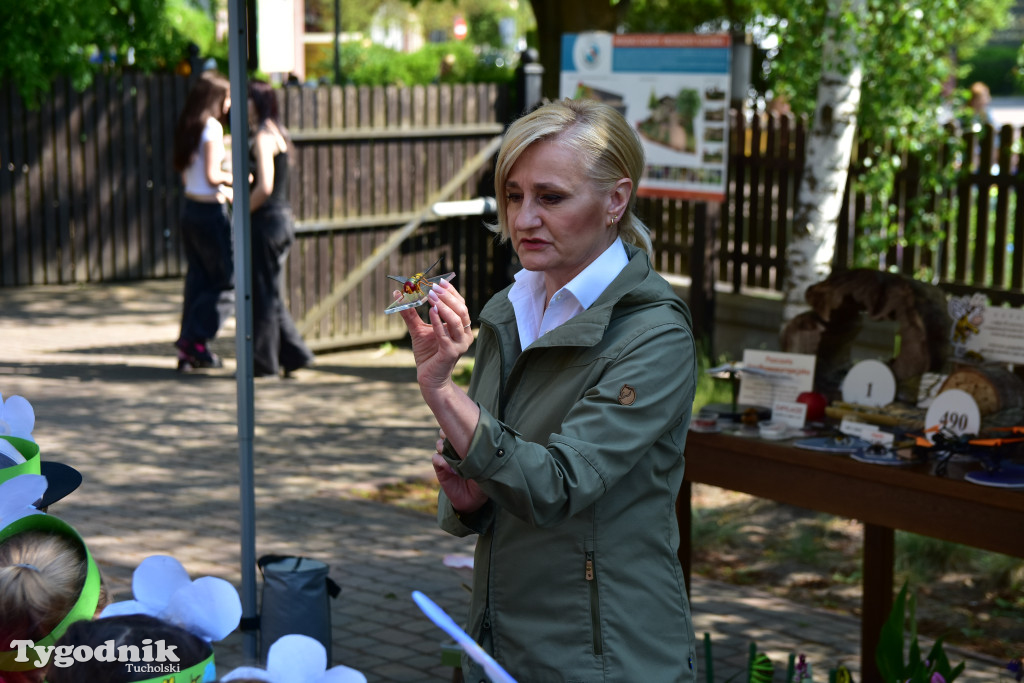 Tuchoski Park Krajobrazowy: Happening na cześć pszczół i niezapominajek