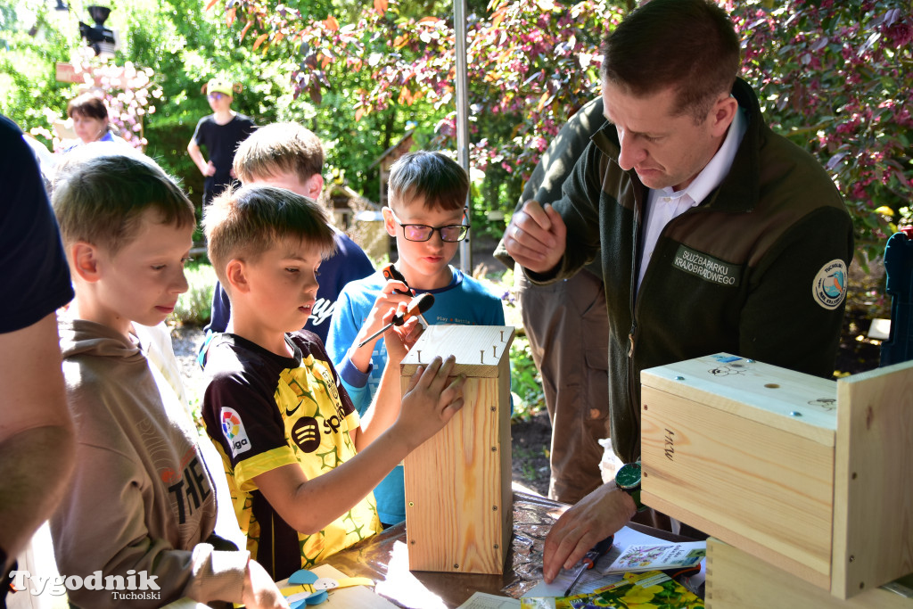 Tuchoski Park Krajobrazowy: Happening na cześć pszczół i niezapominajek