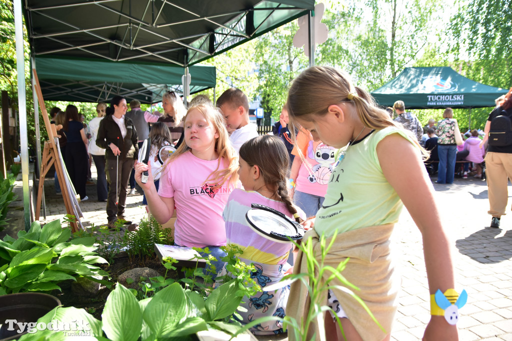 Tuchoski Park Krajobrazowy: Happening na cześć pszczół i niezapominajek