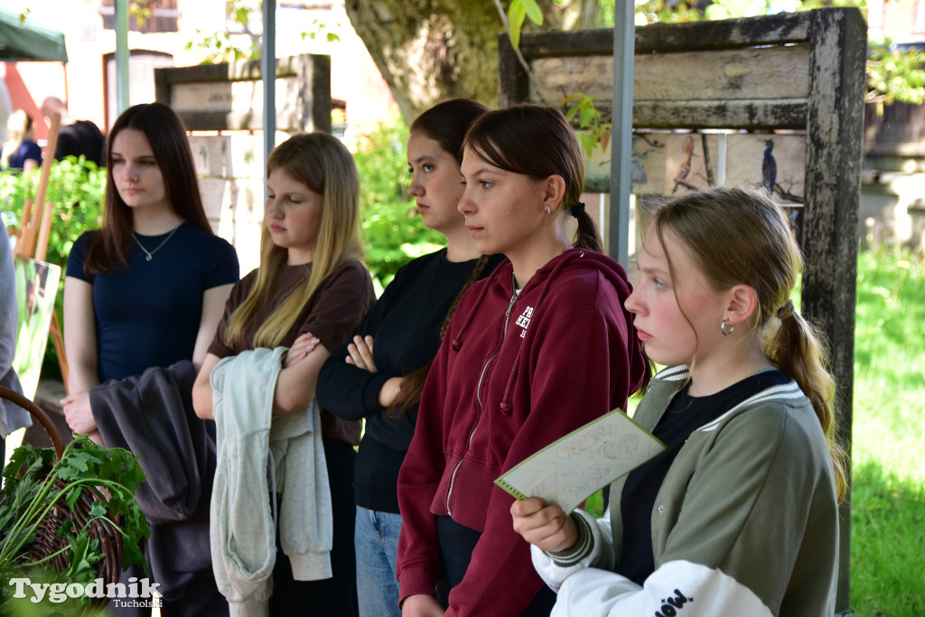 Tuchoski Park Krajobrazowy: Happening na cześć pszczół i niezapominajek