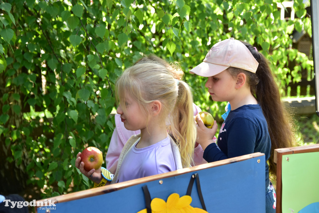 Tuchoski Park Krajobrazowy: Happening na cześć pszczół i niezapominajek