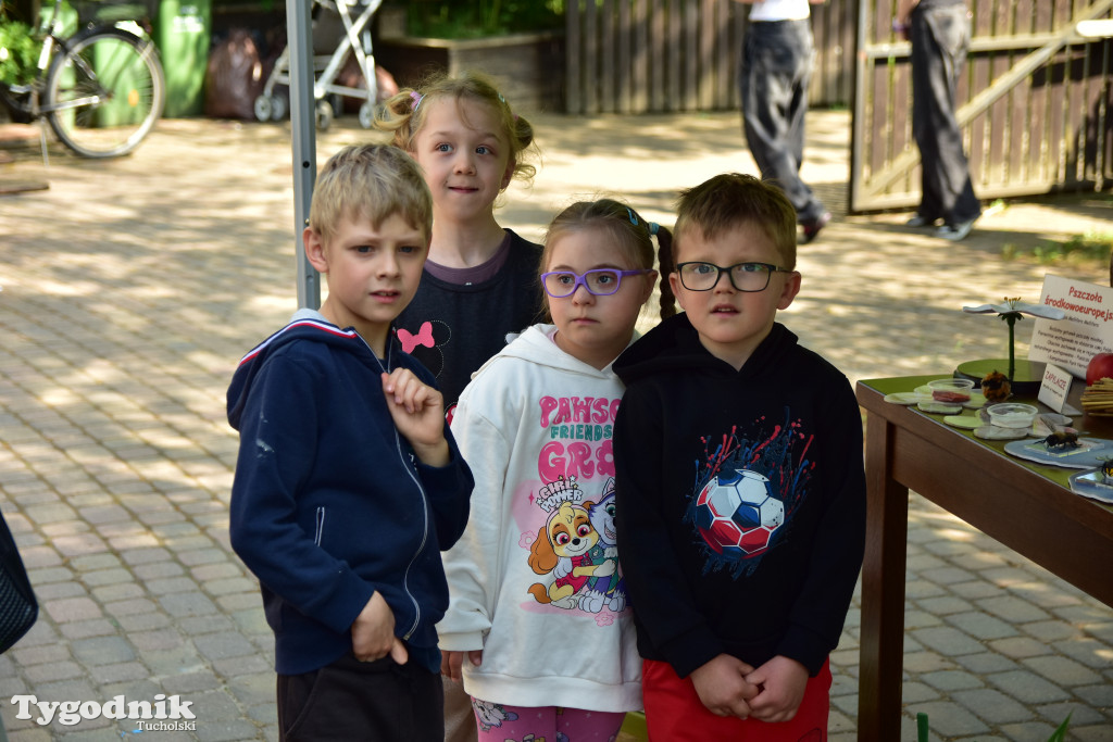 Tuchoski Park Krajobrazowy: Happening na cześć pszczół i niezapominajek