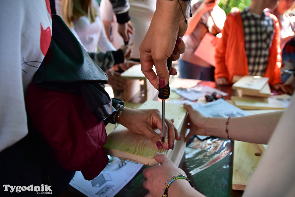 Tuchoski Park Krajobrazowy: Happening na cześć pszczół i niezapominajek